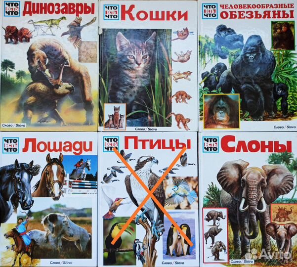 Детская энциклопедия Что есть что