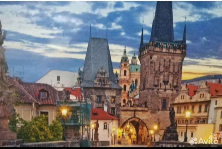 Пазлы тор 500