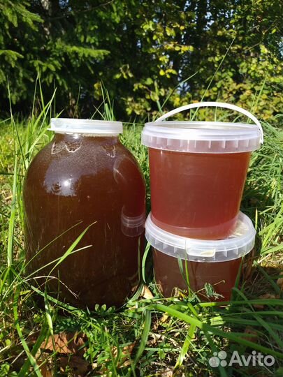 Мёд со своей пасеки