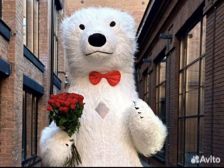 Белый мишка поздравление