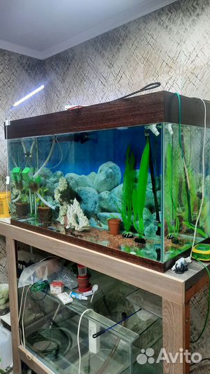 Аквариум