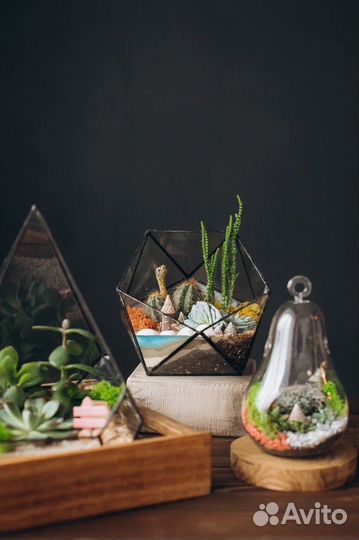 Флорариум живой мир внутри