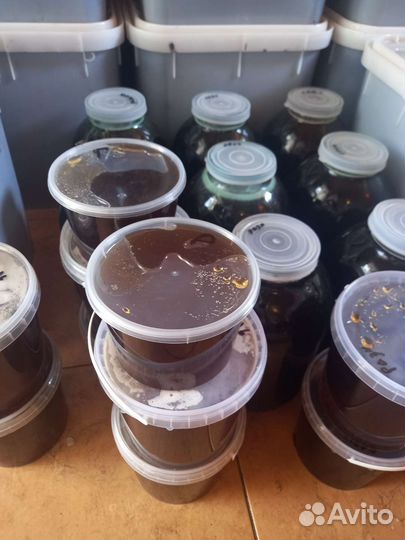 Мед алтайский