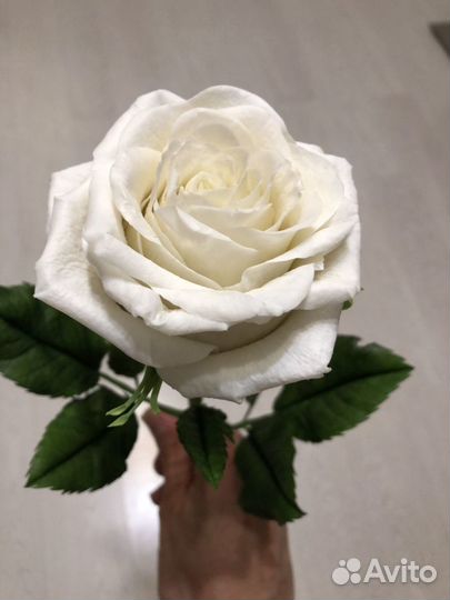 Роза цветок Холодный фарфор подарок композиция для