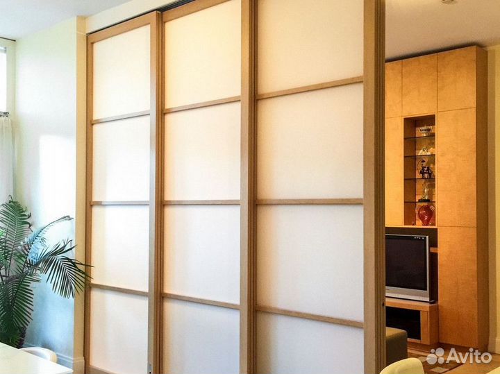 Перегородка для зонирования / двери купе