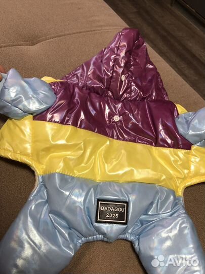 Костюм для собаки