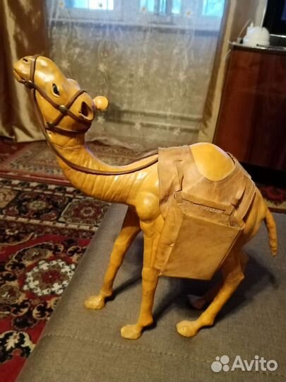 Коллекция верблюд цена разная