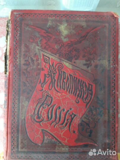1899 г издания