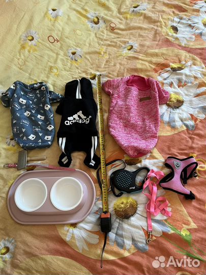 Вещи для маленьких собак