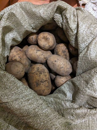 Гараж, 10 м²