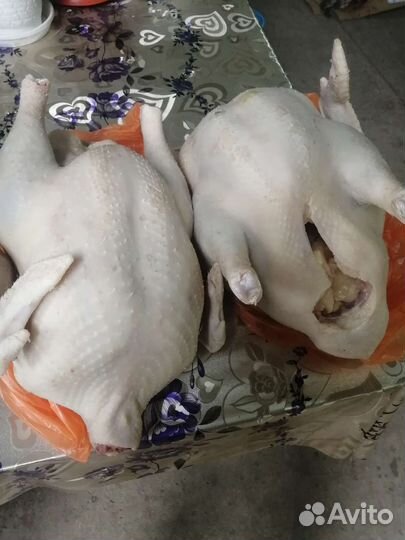 Мясо индейки