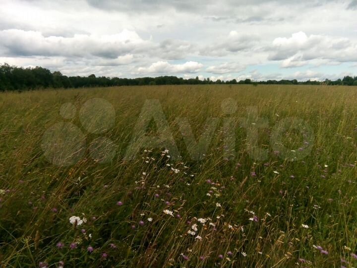 Участок 50 га (СНТ, ДНП)