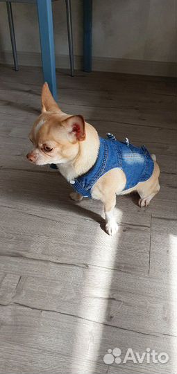 Джинсовая жилетка