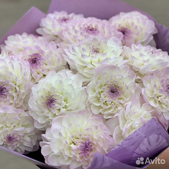 Букет цветов с доставкой георгины розы пионы