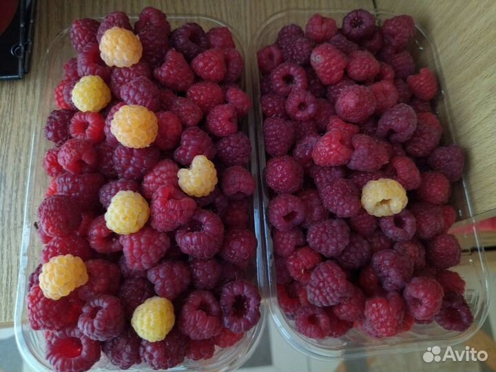 Ягода малины