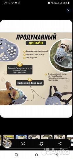 Намордник для собак брахицефалов