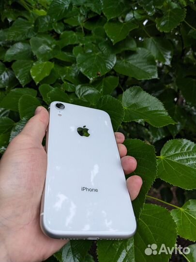 iPhone Xr, 256 ГБ