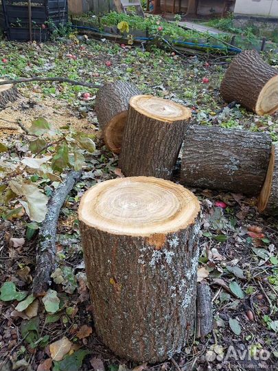 Колода для рубки мяса дубовая