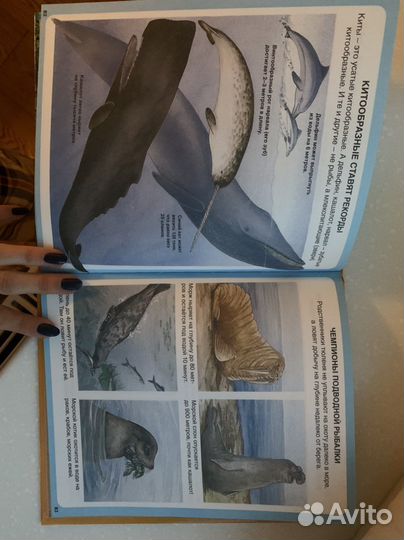 Книга для детей