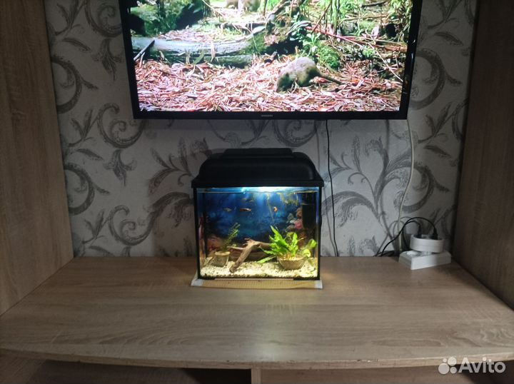 Аквариум goldfish, 15 литров