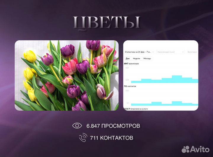 Авитолог / Услуги Авитолога / Продвижение на Авито