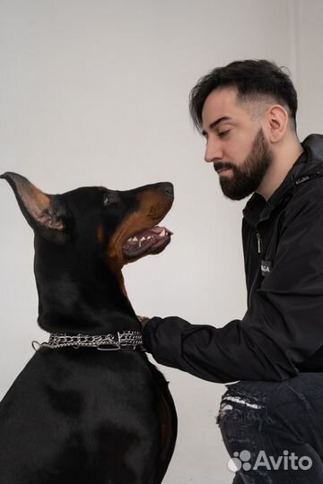 Модель для рекламы одежды