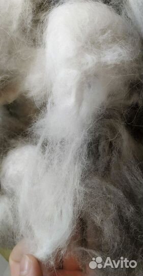 Собачий пух шерсть с лаек