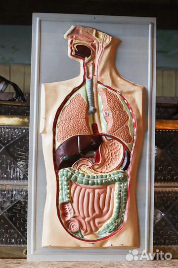 Пособие по биологии СССР