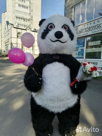 Поздравление от панды. Мишка Панда ростовая кукла