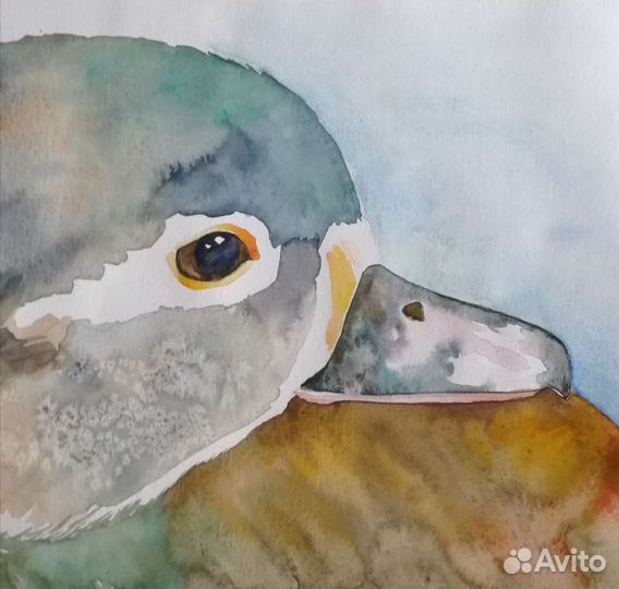 Акварельная картина 