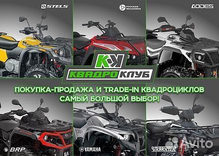 Квадроцикл wels thunder EVO