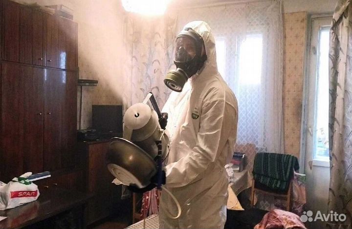 Средство для Уничтожения клопов травля тараканов дезинфекции