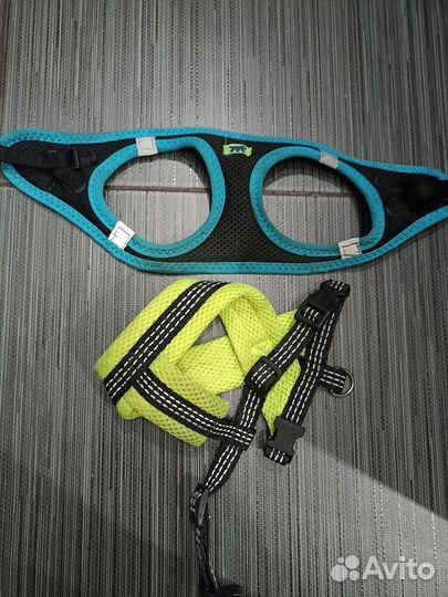 Вещи на собаку мелкой породы