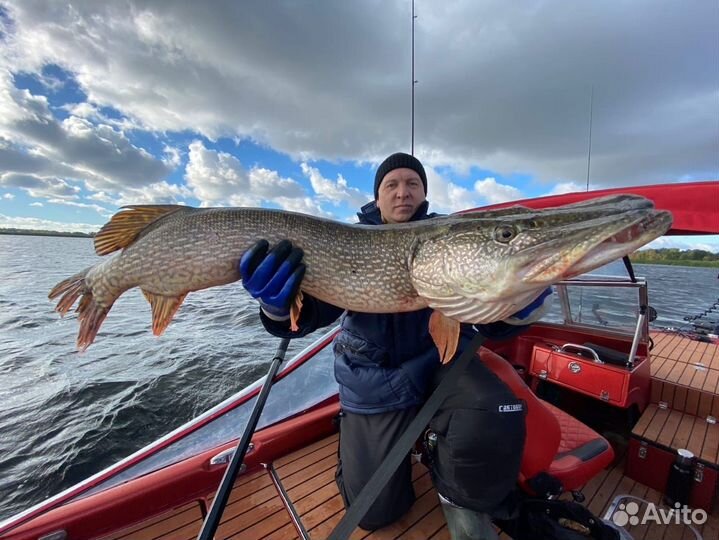 Рыбалка с гидом на Волге