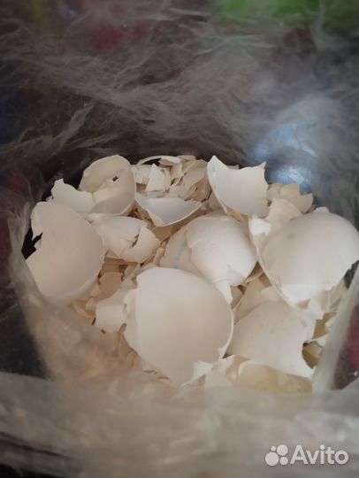 Пакеты со скорлупой