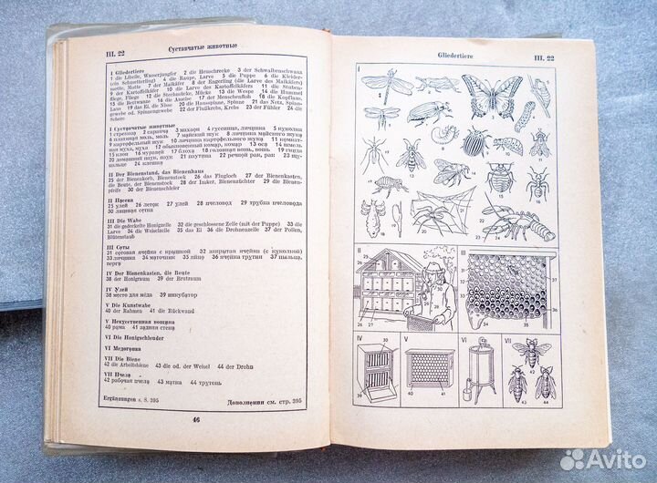 Английский / немецкий - словари, художка, атласы