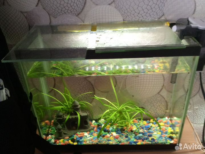 3 аквариума
