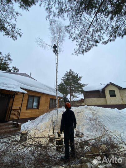 Спил деревьев, расчистка участка, дробление веток