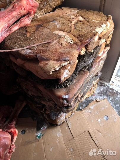 Мясо для собак