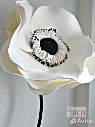 Большая анемона