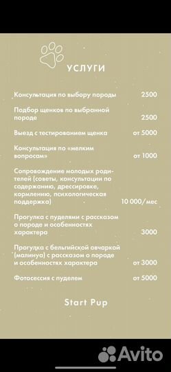 Кинолог РКФ (Помощь в выборе щенка, дрессировка)