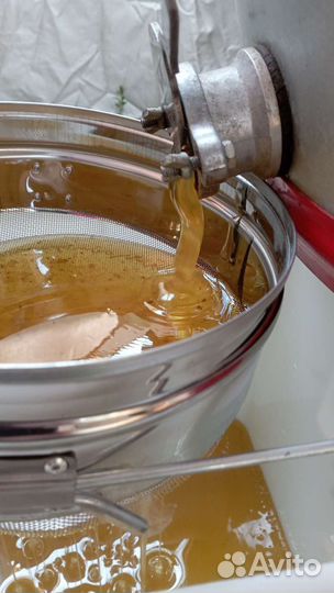 Мед свежий разнотравье 2023