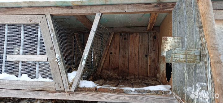 Клетка для кроликов с маточником