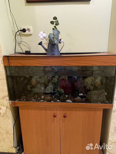 Аквариум