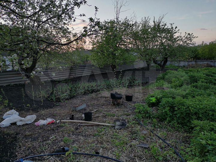 Дом 59 м² на участке 60 сот.