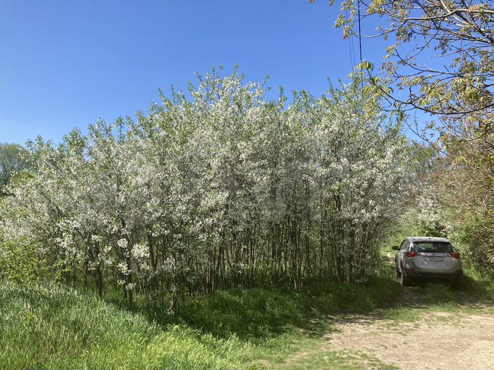 Участок 5,5 сот. (СНТ, ДНП)