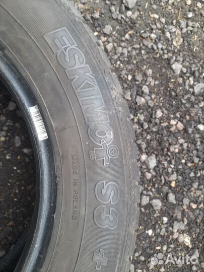 Шина сова лепучка