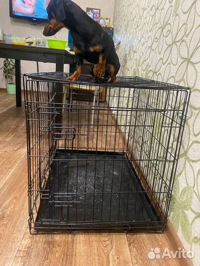 Клетка вольер для собак бу