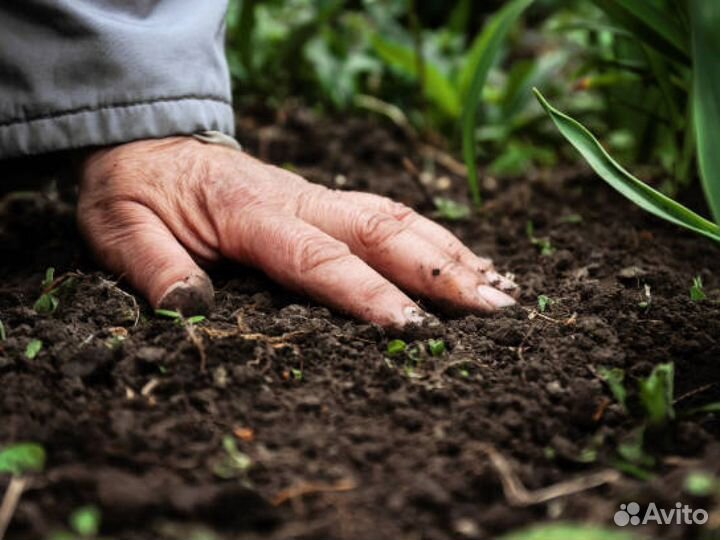 Плодородный грунт с доставкой