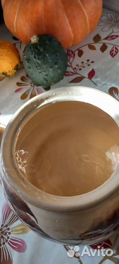 Глиняный горшок для запекания